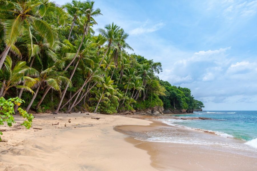 Image from lawbelize.bz