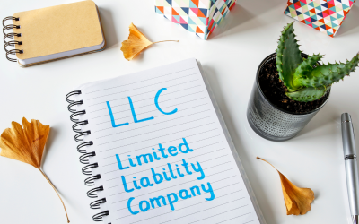 INTERNATIONAL LIMITED LIABILITY COMPANIES ACT, 2011 – An Overview
